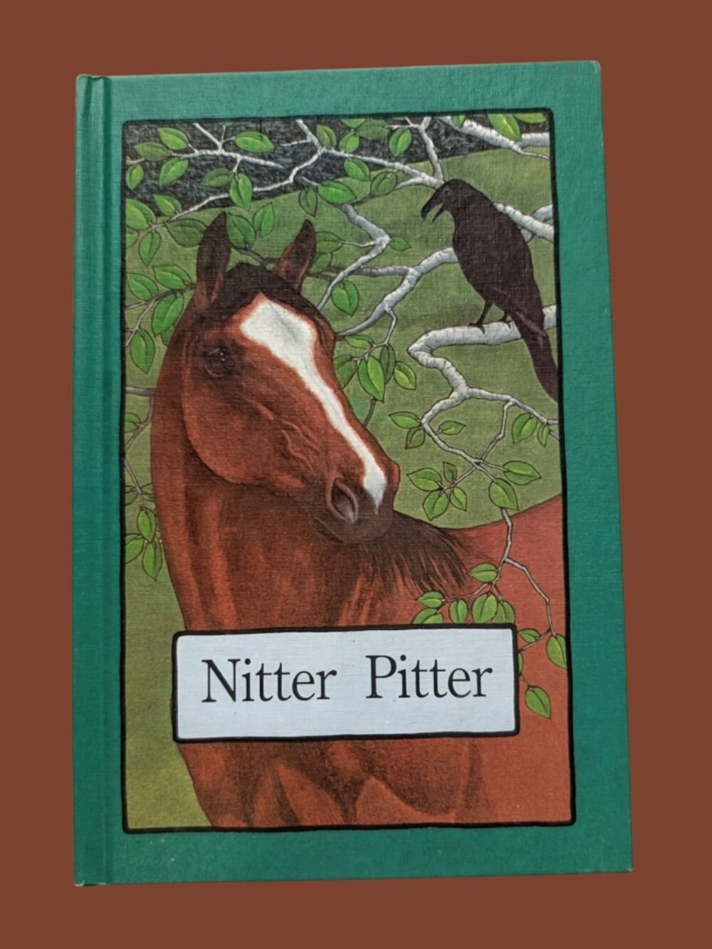 5/$20 Serendipity Book Nitter Pitter by Stephen Cosgrove Hardcover